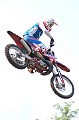 _ROB3723 (Copy)
